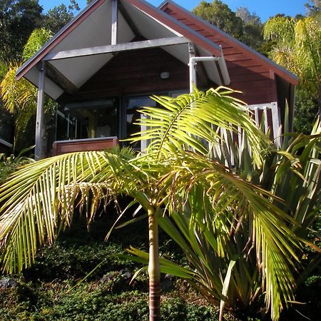 Bay Cabinz Motel Paihia Dış mekan fotoğraf